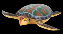 Animal World Sea Collection