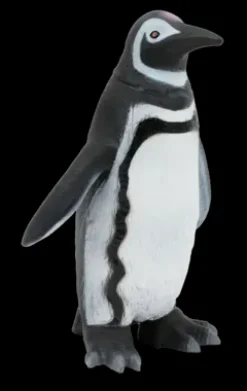 Animal World Sea Collection