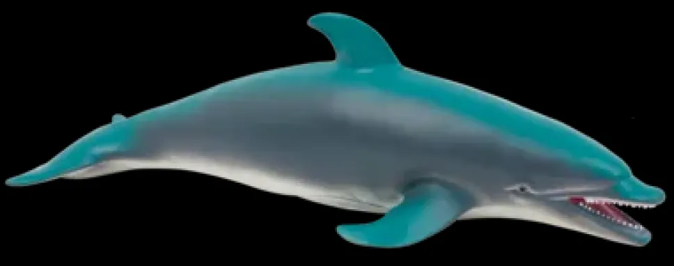 Animal World Sea Collection