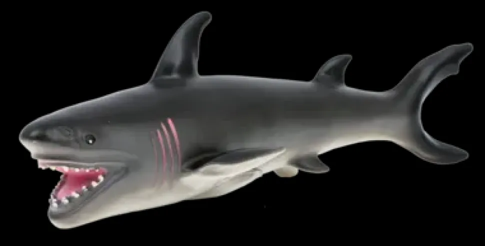 Animal World Sea Collection