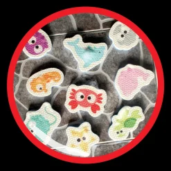 Animali Marini Per Il Bagnetto