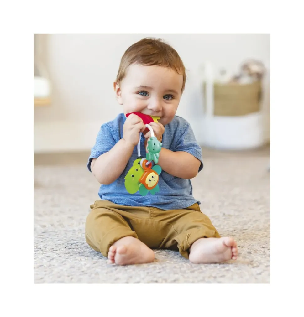 Animali Massaggiagengive