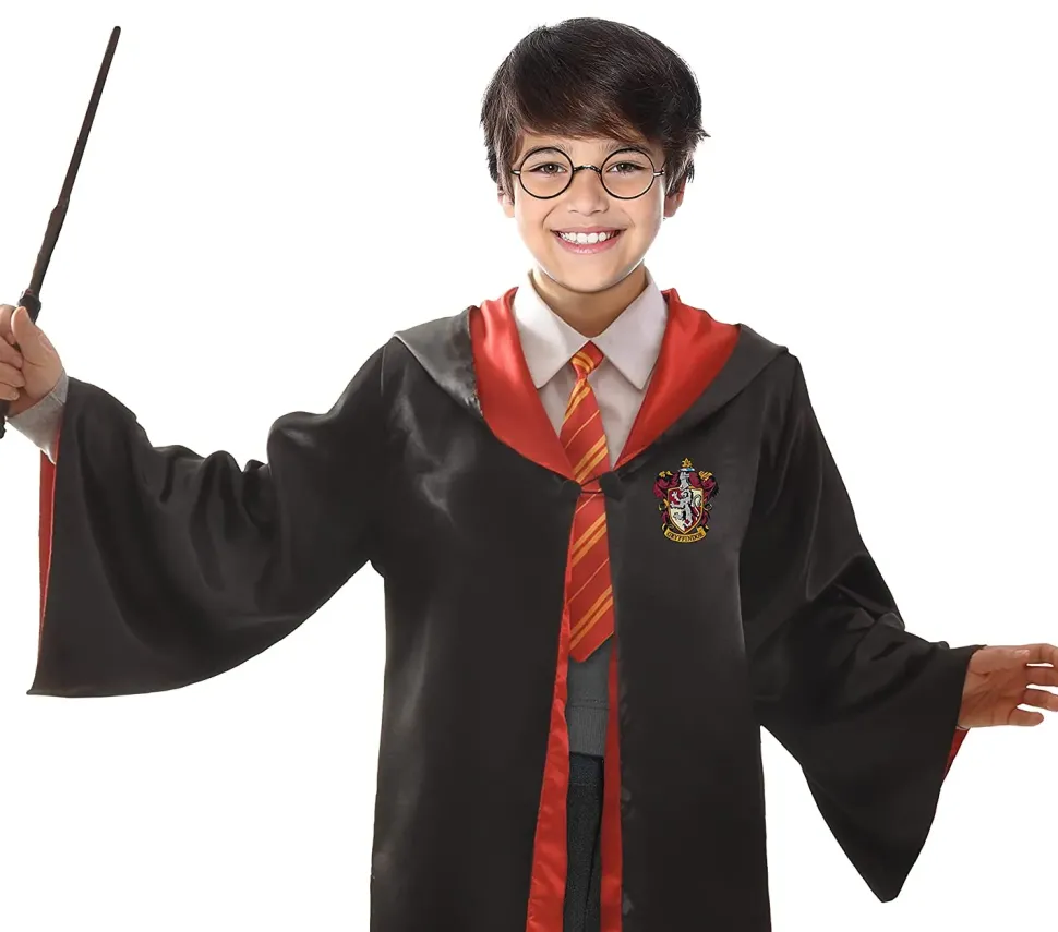 Bacchetta Harry Potter