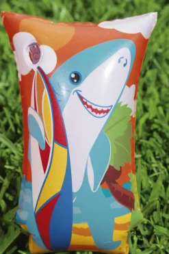 Braccioli Aquatic Life, Cm. 30 15, 5-12 Anni, 2 Disegni Assortiti