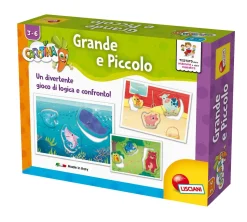 Carotina Pocket Ass.To .