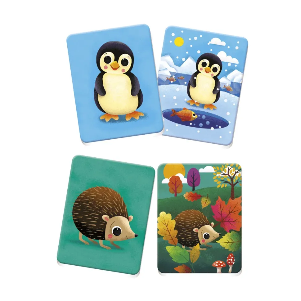 Clementoni 16434 Montessori Baby Case Cucc 48 Carte Tattili