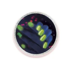 Clementoni 19326 Nail Lab Kit Scientifico E Creativo