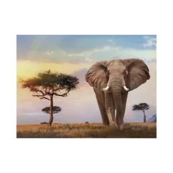 Clementoni 35096 Puzzle 500 Hqc African Sunset 49 X 36 Cm