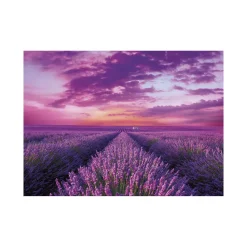Clementoni 39606 Puzzle 1000 Hqc Lavender Field 70 X 50 Cm