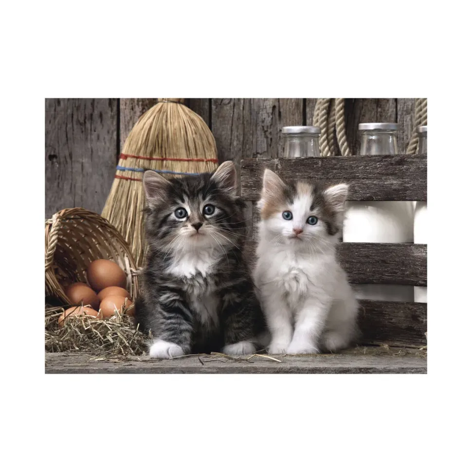 Clementoni 39340 Puzzle 1000 Hqc Lovely Kittens 70 X 50 Cm