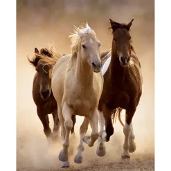 Clementoni 39168 Puzzle 1000 Hqc Running Horses 70 X 50 Cm