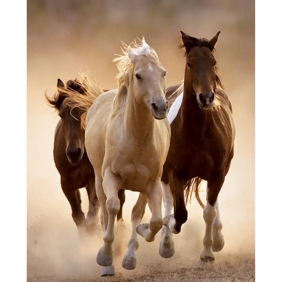 Clementoni 39168 Puzzle 1000 Hqc Running Horses 70 X 50 Cm