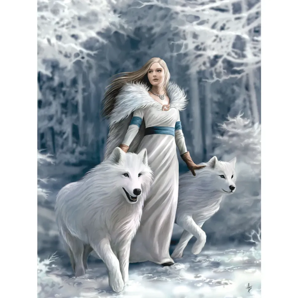 Clementoni Puzzle Anne Stokes Winter Guardians 1000 Pezzi, Puzzle Adulti