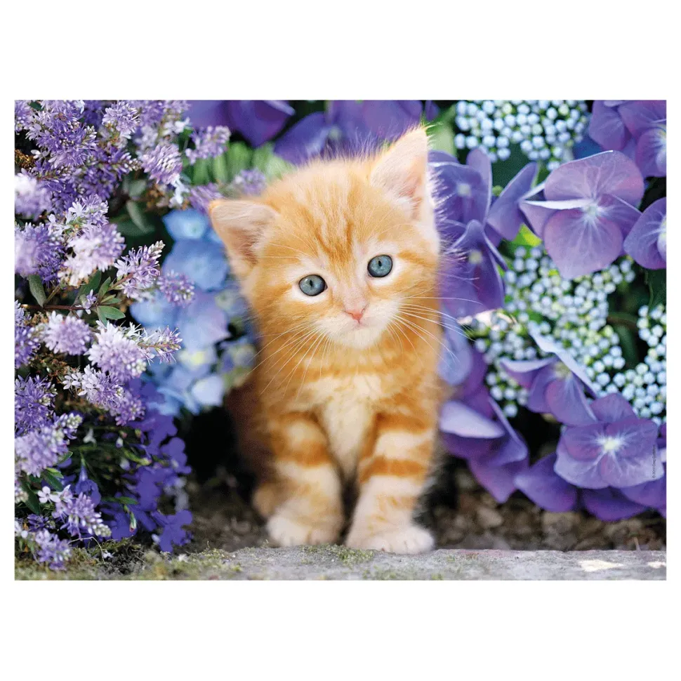 Clementoni Puzzle High Quality Collection Ginger Cat 500 Pezzi, Puzzle Adulti