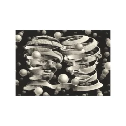 Clementoni Puzzle Novo Art Series M. C. Escher, "Bond Of Union" 1000 Pezzi, Puzzle Adulti