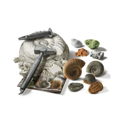 Clementoni Science & Play Lab Fossili E Minerali, 19371