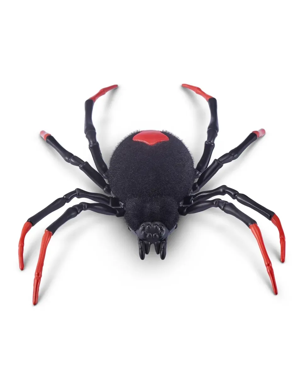 Creepy Set Tarantula, Snake, Small Spider