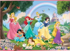 Disney Puzzle Df Maxi Floor 108 Princess Rainbow World