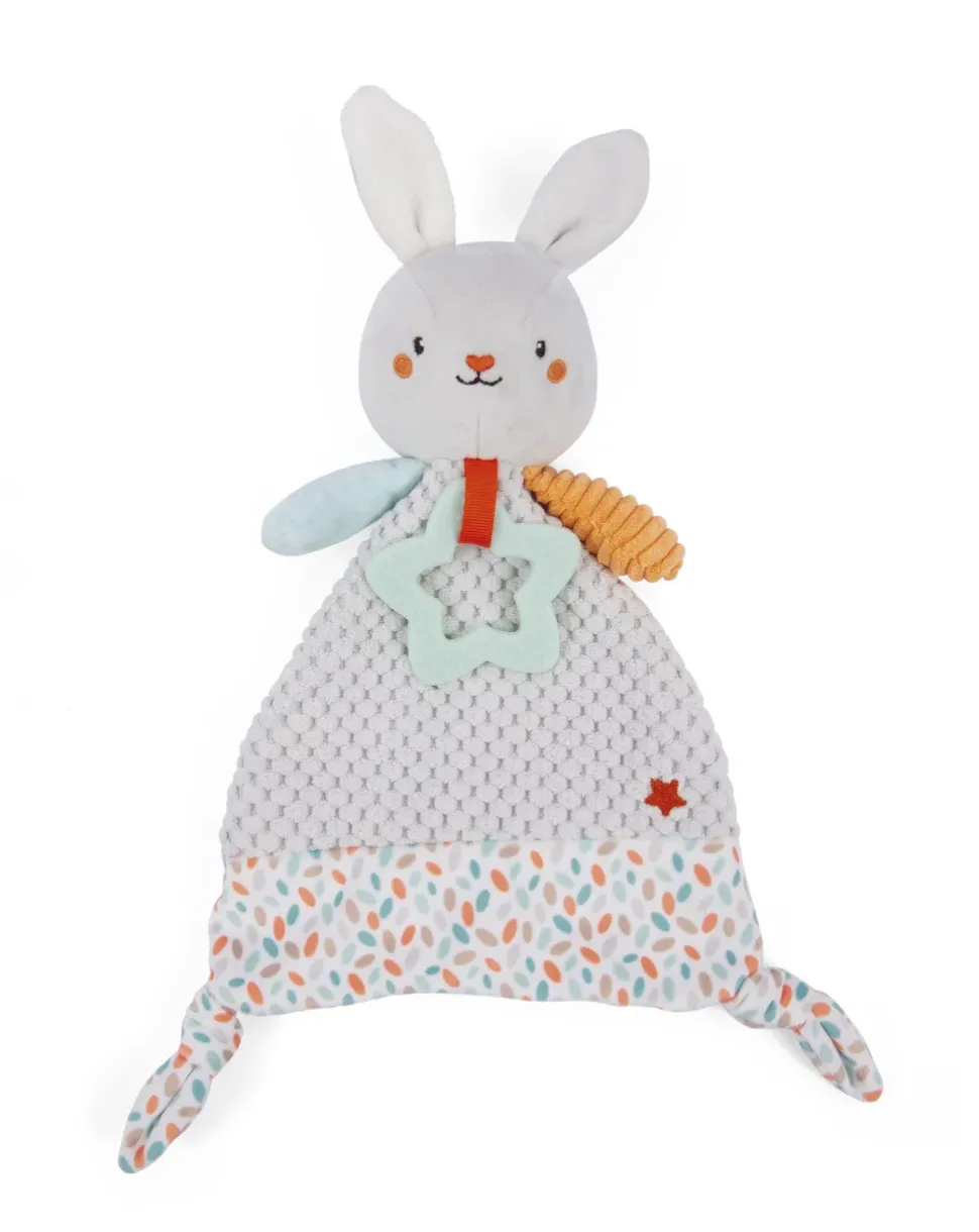 Dou Dou Attivita Coniglio Rene