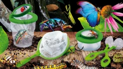 I'M A Genius Scienza In Casa Insetti