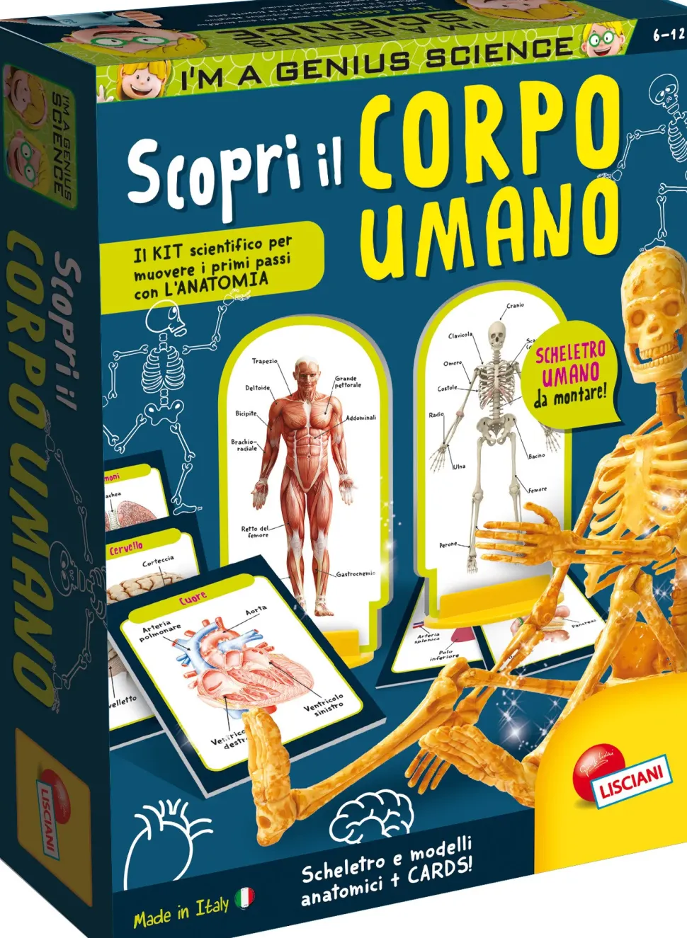 I'M A Genius Scopri Il Corpo Umano