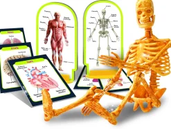 I'M A Genius Scopri Il Corpo Umano