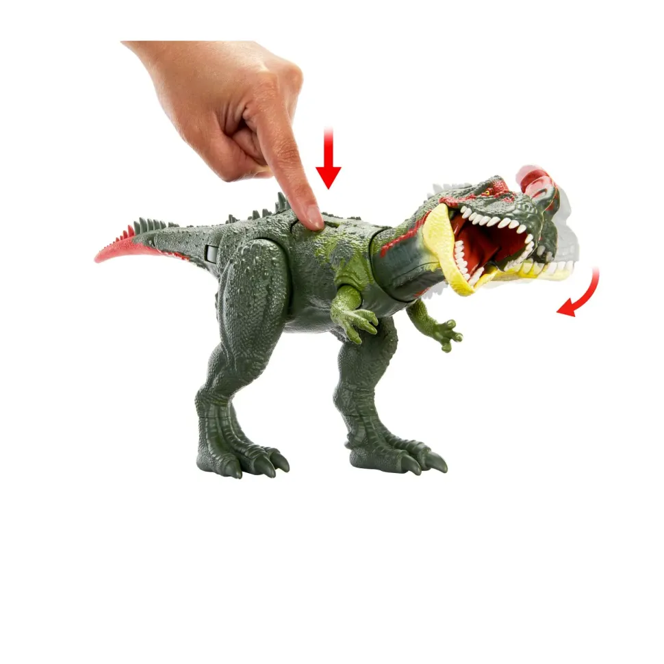 Jurassic World Predatori Giganti, Sinotiranno, Dinosauro Di Grandi Dimensioni Con Mossa D'Attacco E Kit Di Tracciamento, Per Il Gioco Classico E Digitale, Giocattolo, 4+ Anni, Hlp25