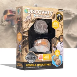 Kit Paleontologo Con 2 Mini Fossili