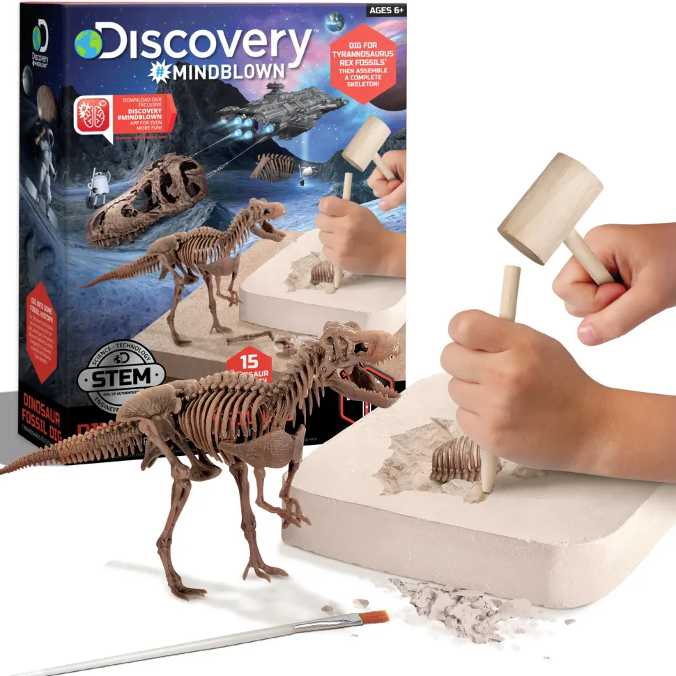 Kit Paleontologo Con Scheletro T-Rex 3D