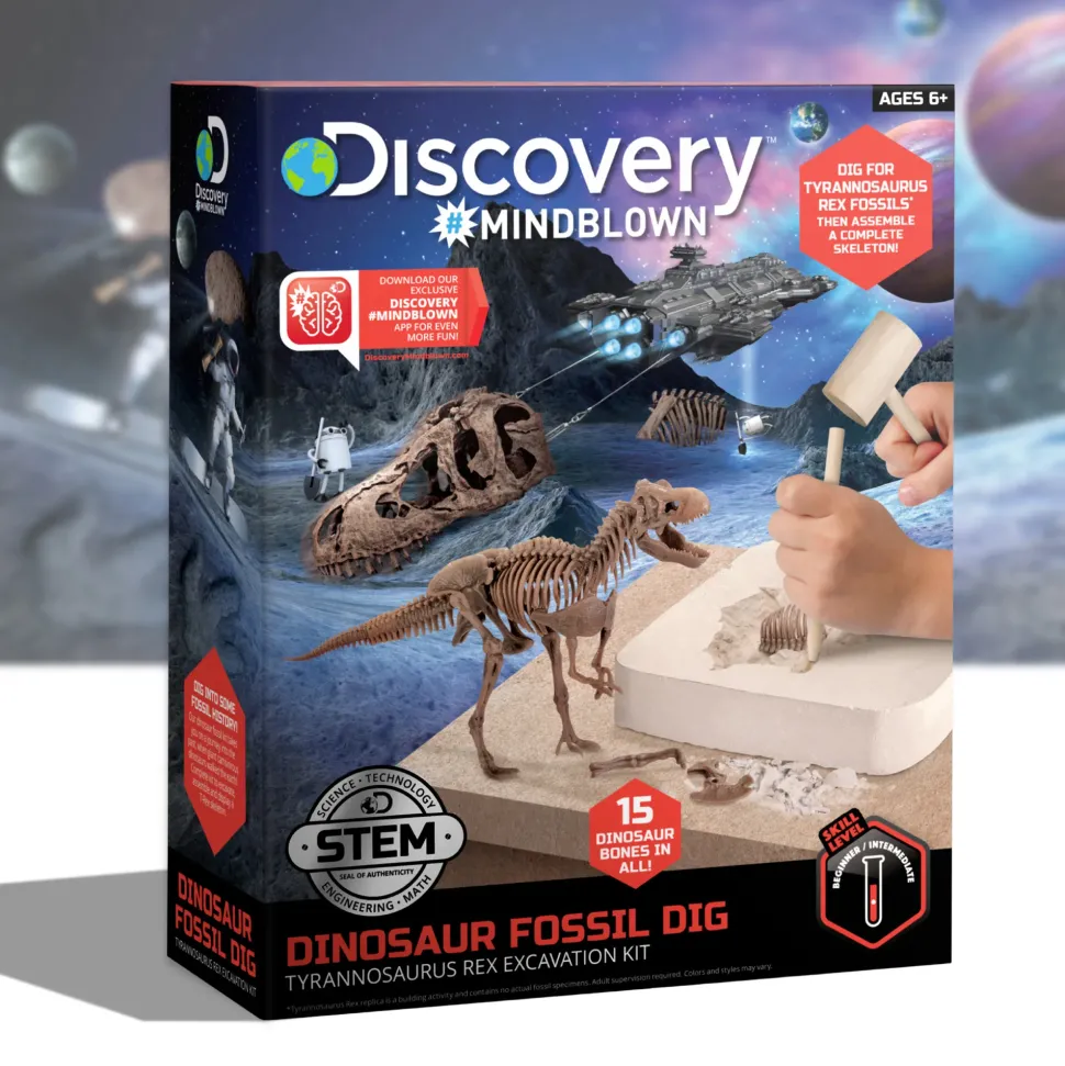 Kit Paleontologo Con Scheletro T-Rex 3D