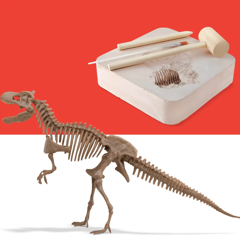 Kit Paleontologo Con Scheletro T-Rex 3D