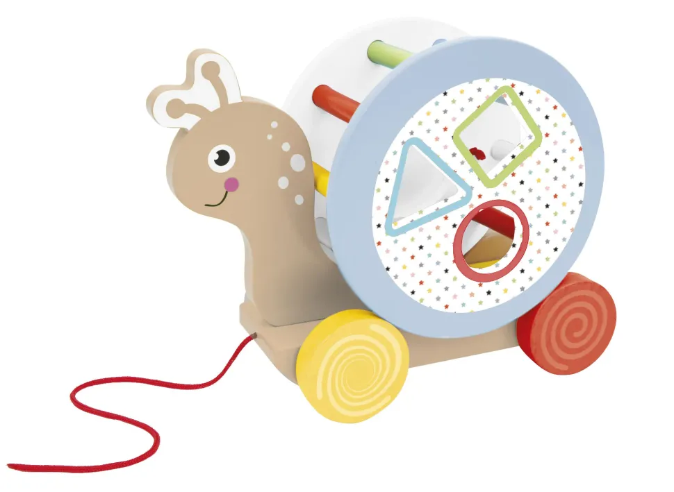 Lumaca E Tartaruga In Legnof