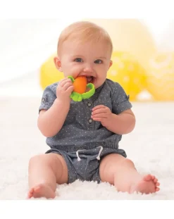 Massaggiagengive Carota 0+ M Infantino