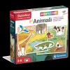 Montessori Gli Animali