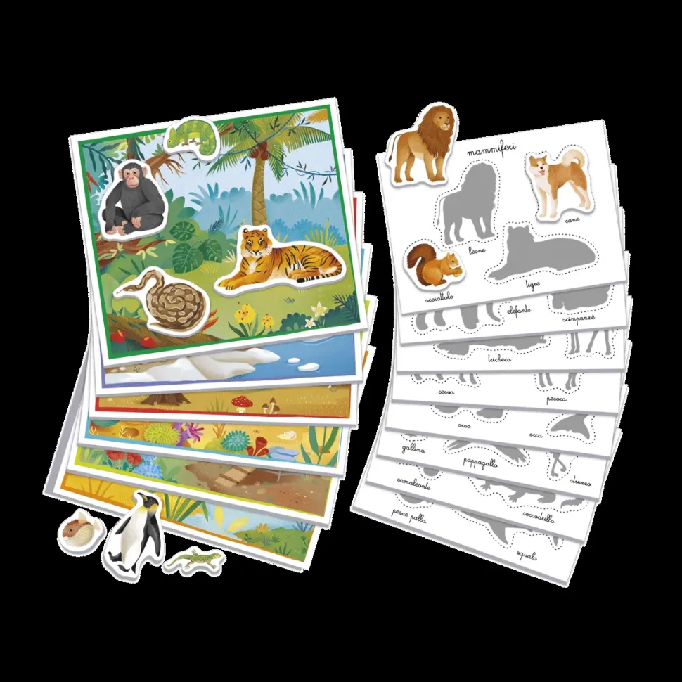 Montessori Gli Animali