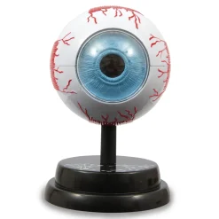 Occhio Modello Anatomico In 3D