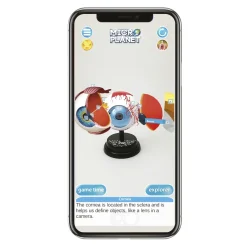 Occhio Modello Anatomico In 3D