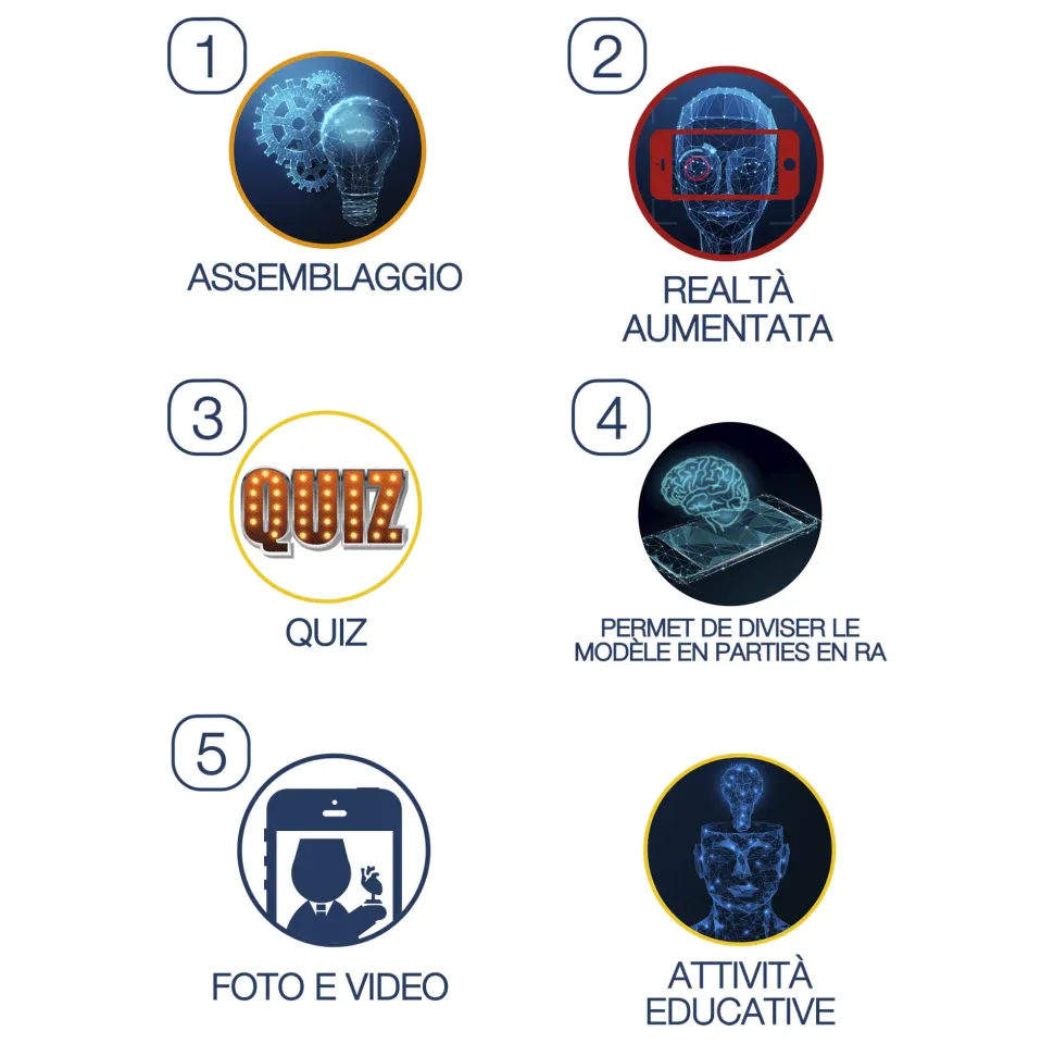 Occhio Modello Anatomico In 3D