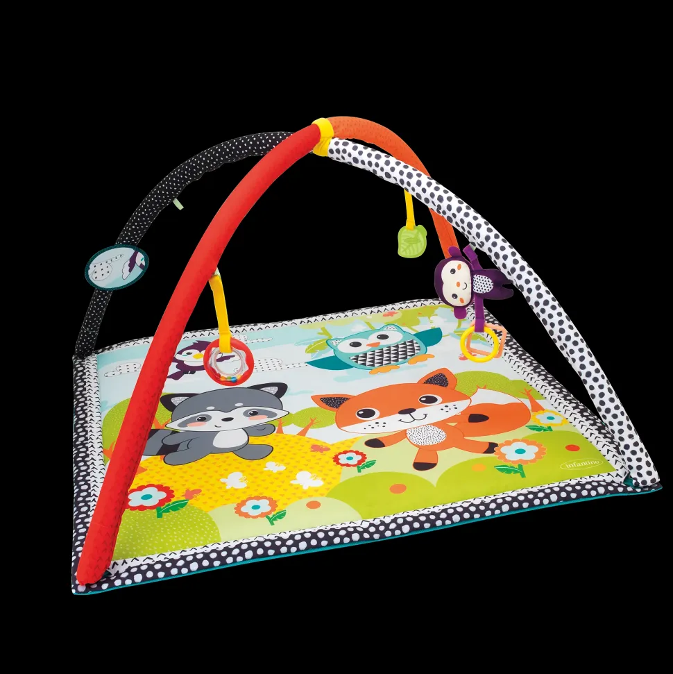 Palestrina E Tappeto Gioco