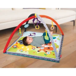 Palestrina E Tappeto Gioco