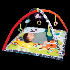 Palestrina E Tappeto Gioco