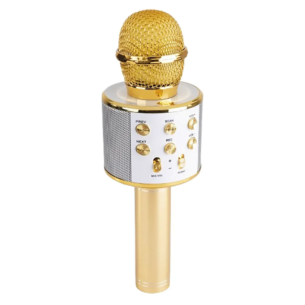 Party Microphone