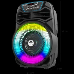 Party Speaker 100W