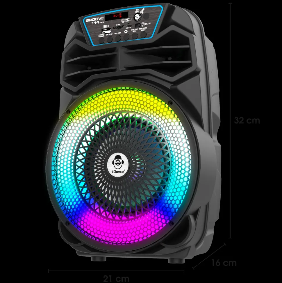 Party Speaker 100W