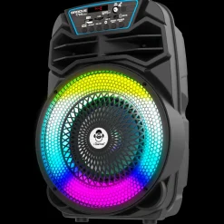 Party Speaker 100W