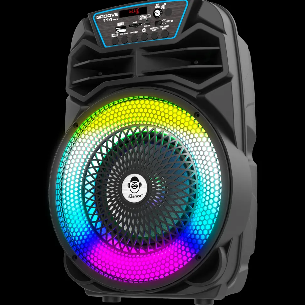 Party Speaker 100W
