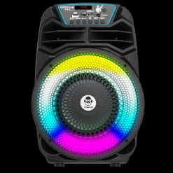 Party Speaker 100W