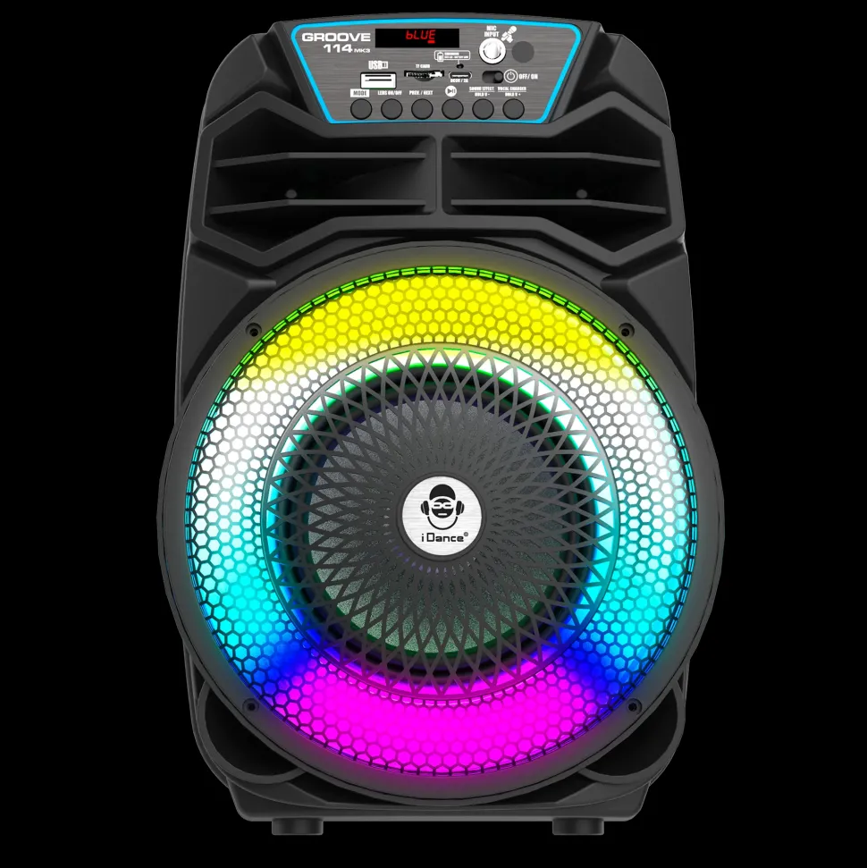 Party Speaker 100W