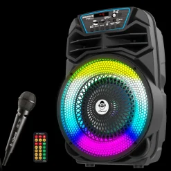 Party Speaker 100W