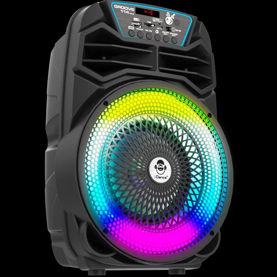 Party Speaker 100W